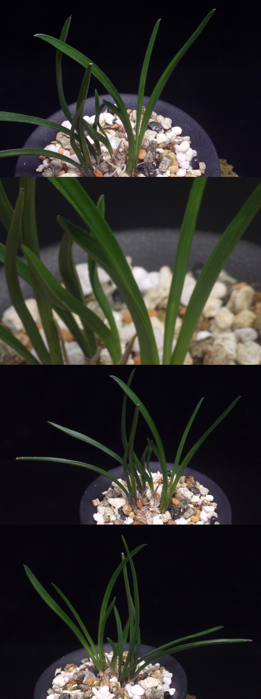 ������ ū������ �� �� �ֽ��ϴ�.