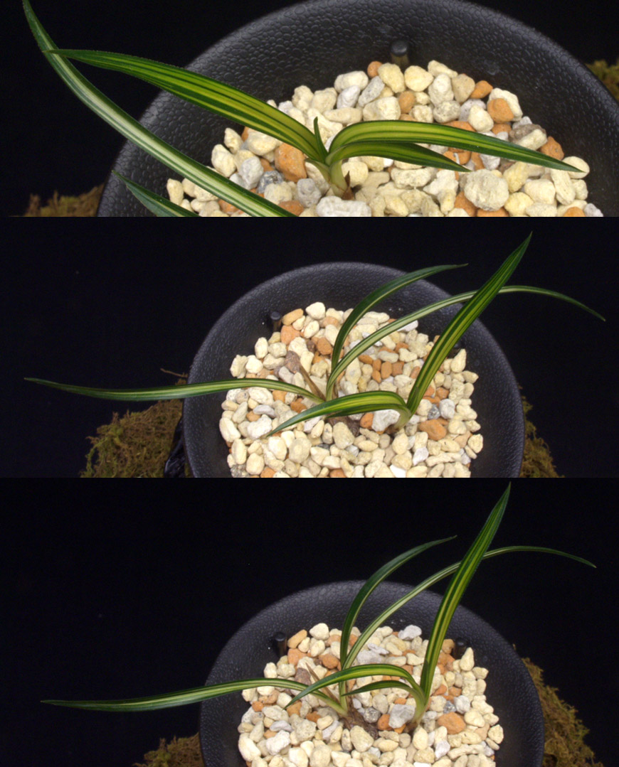 ������ ū������ �� �� �ֽ��ϴ�.