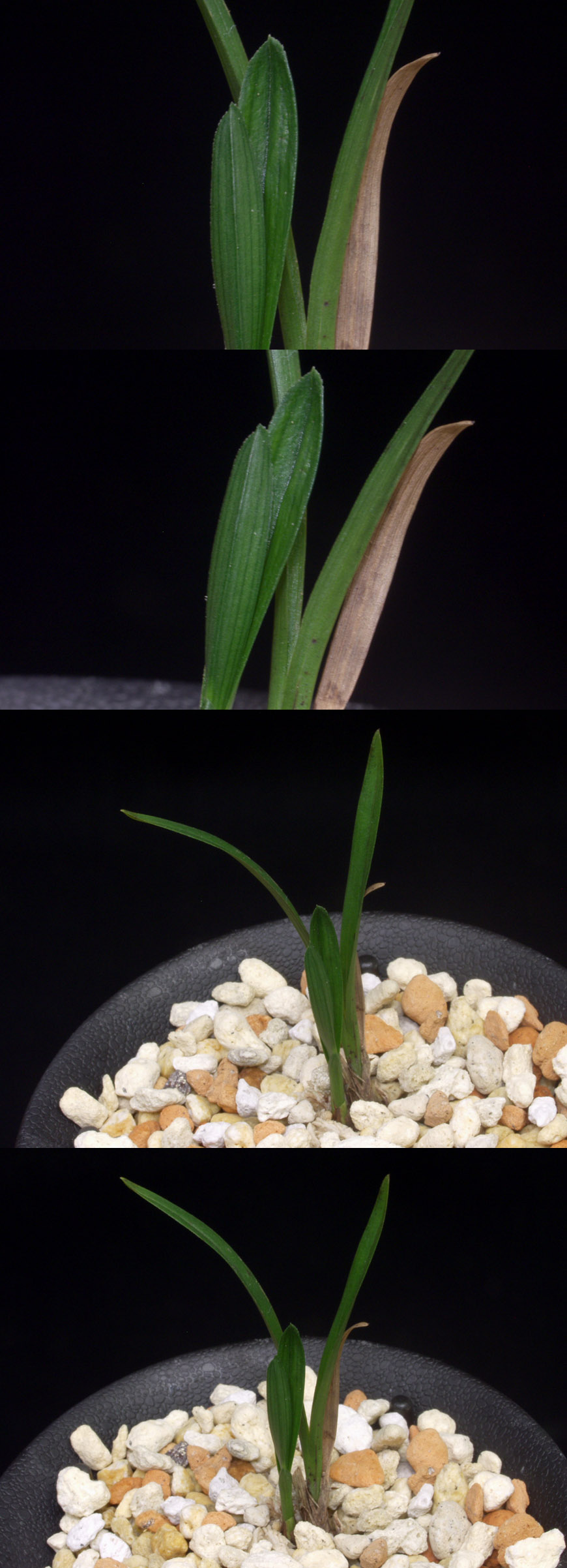 ������ ū������ �� �� �ֽ��ϴ�.