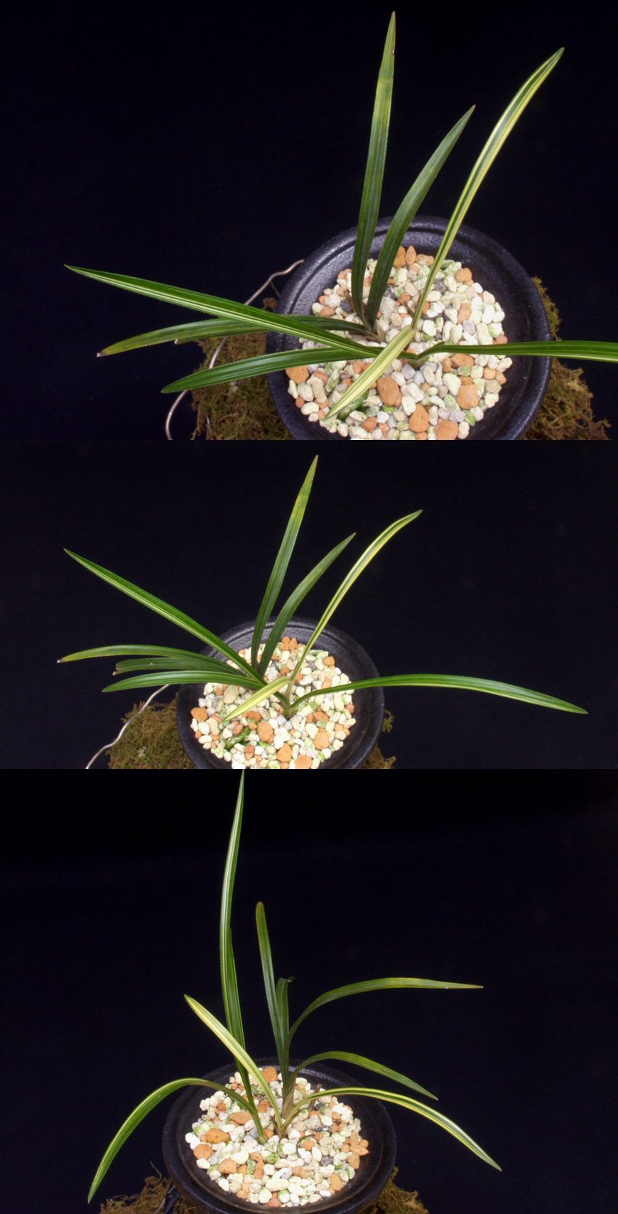 ������ ū������ �� �� �ֽ��ϴ�.