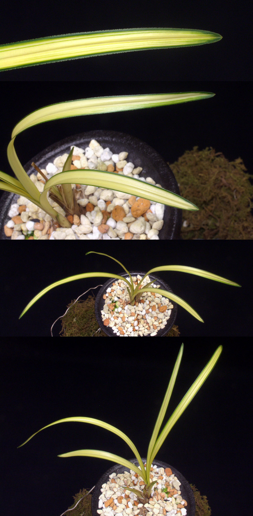 ������ ū������ �� �� �ֽ��ϴ�.