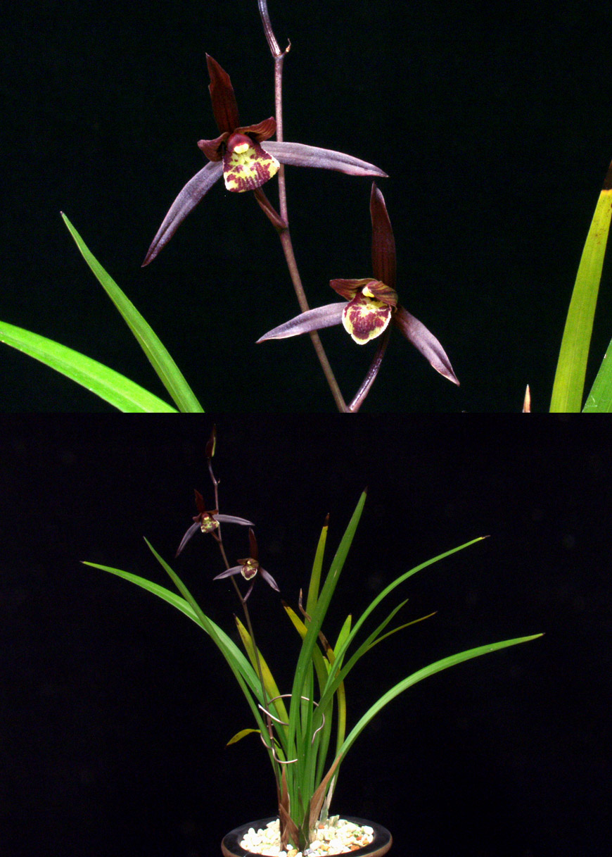 ������ ū������ �� �� �ֽ��ϴ�.