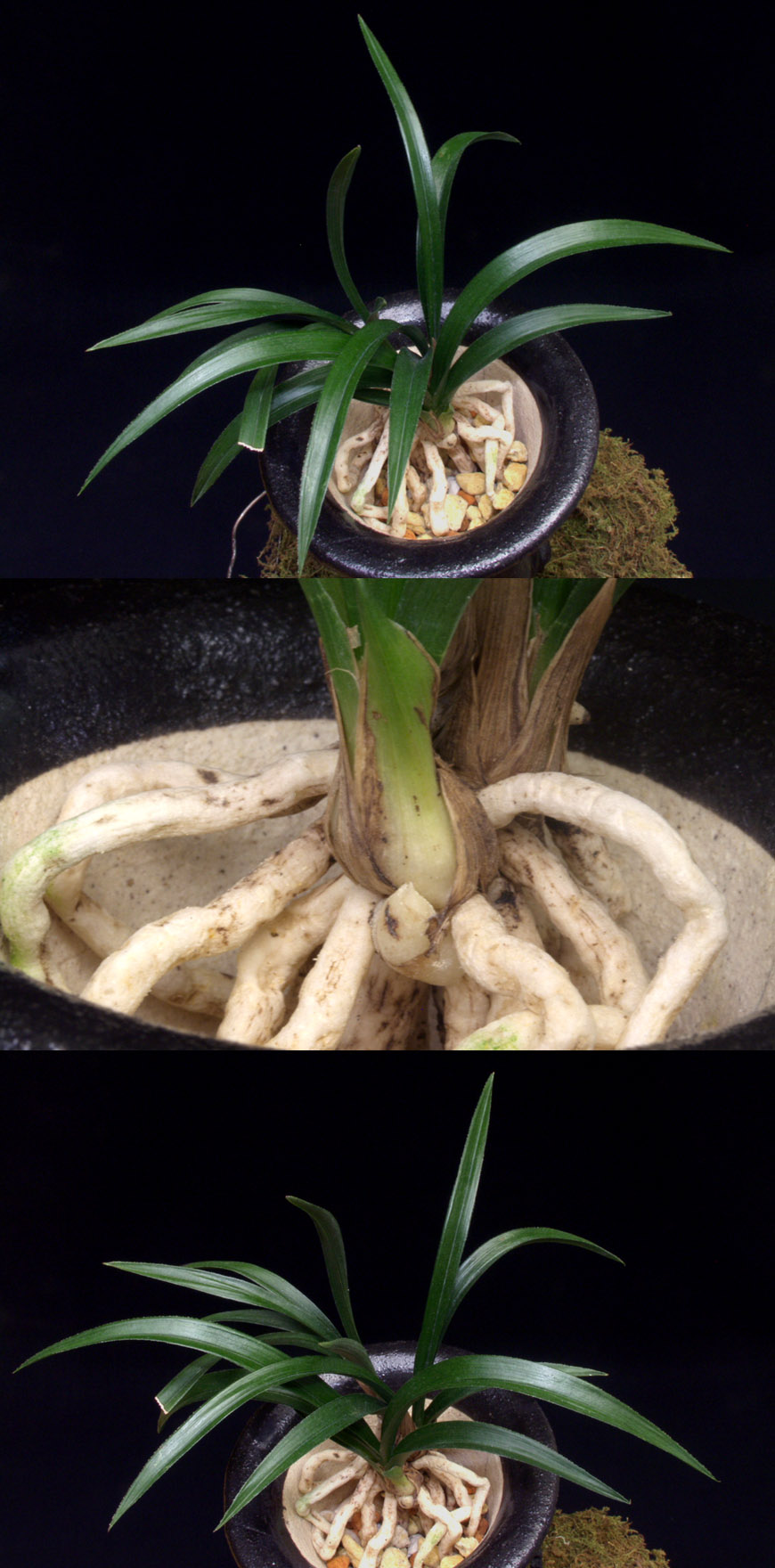 ������ ū������ �� �� �ֽ��ϴ�.