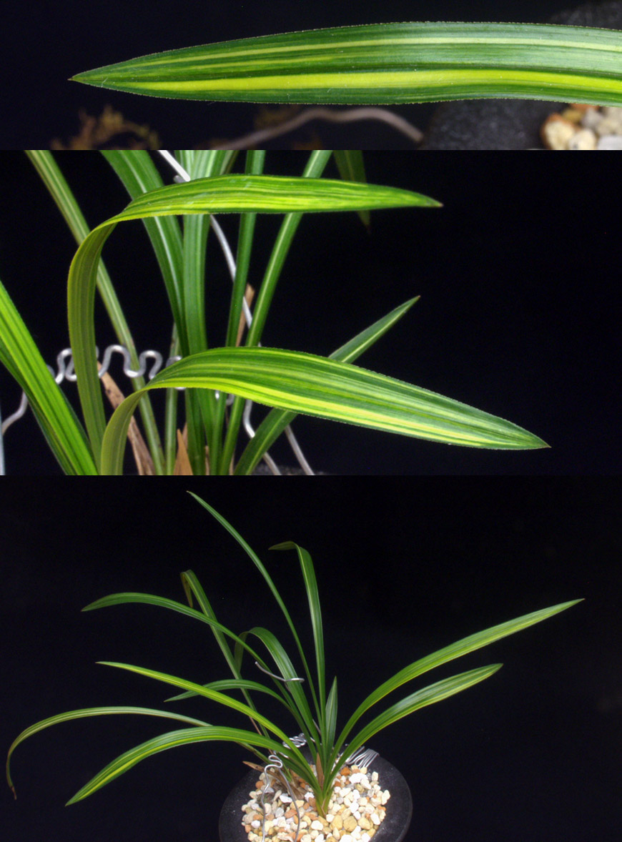 ������ ū������ �� �� �ֽ��ϴ�.