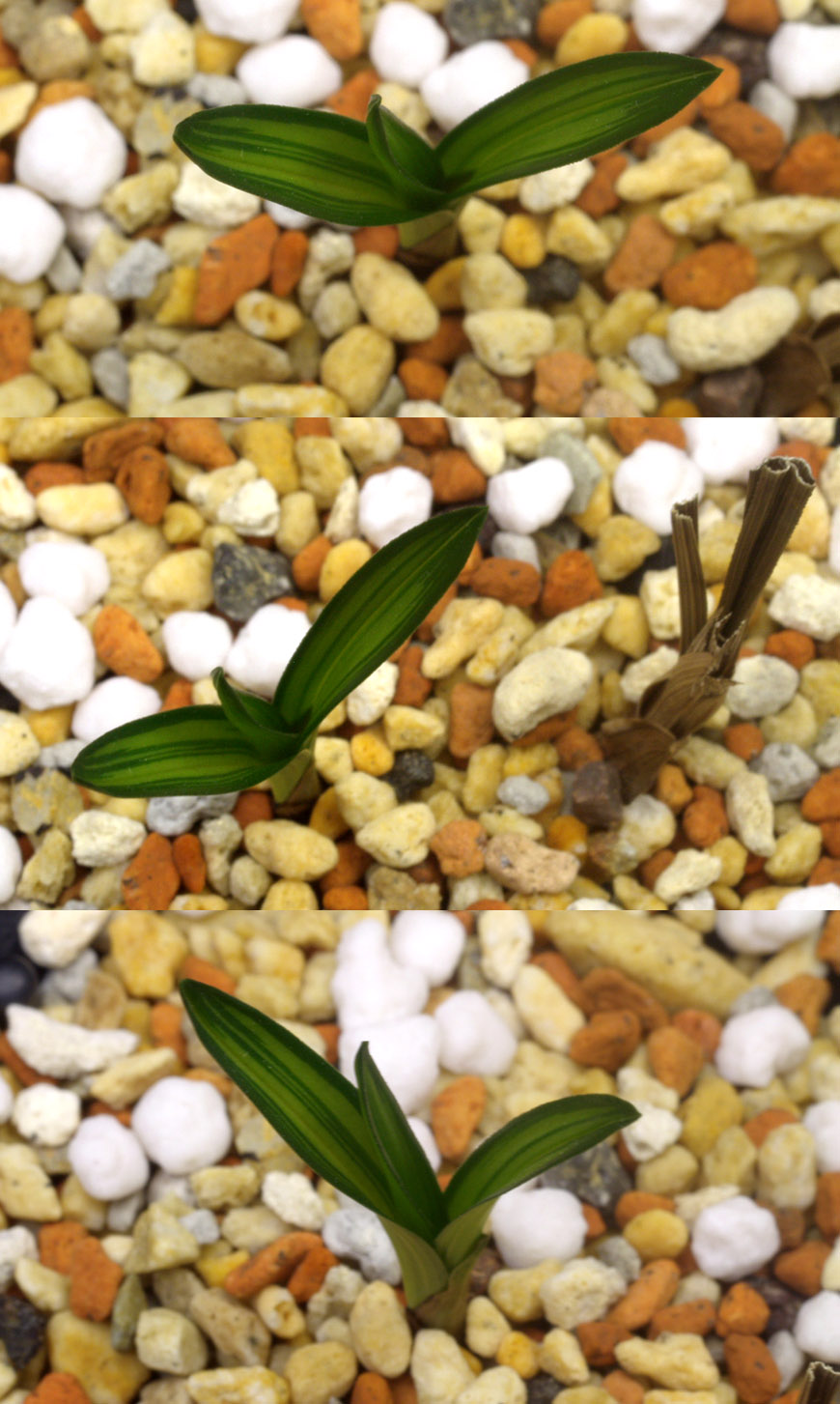 ������ ū������ �� �� �ֽ��ϴ�.