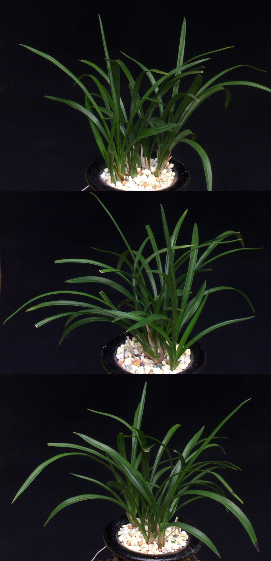 ������ ū������ �� �� �ֽ��ϴ�.