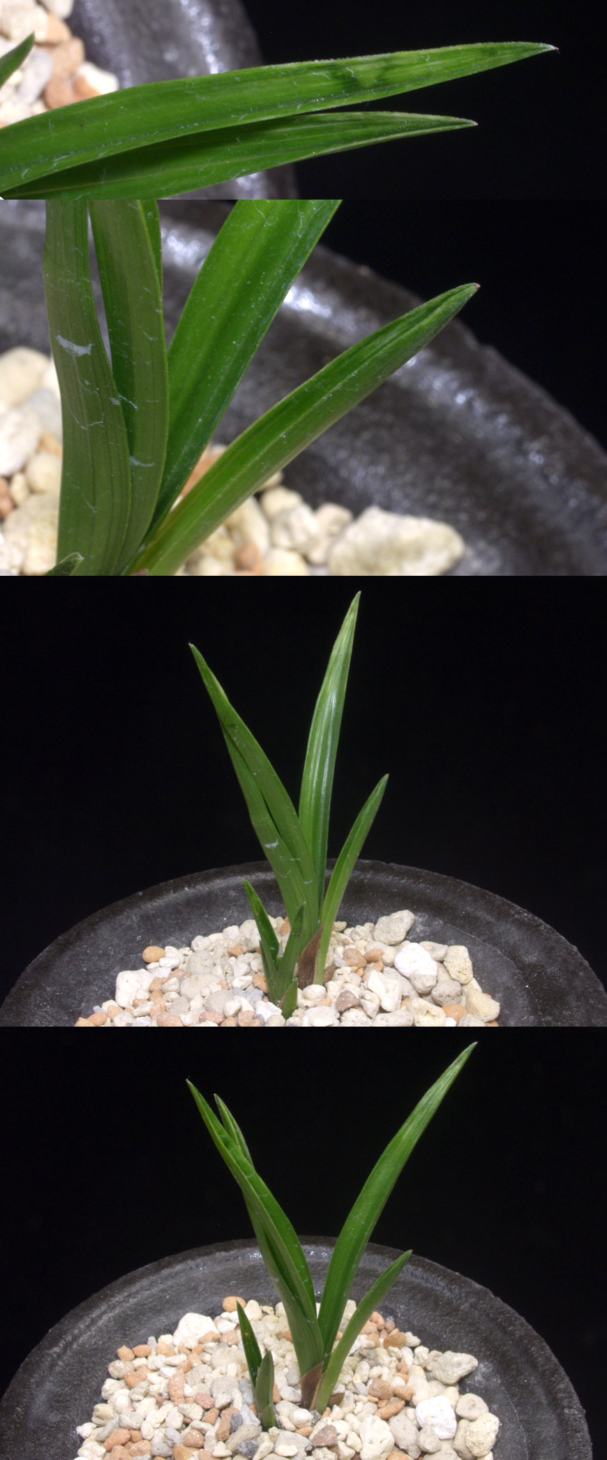 ������ ū������ �� �� �ֽ��ϴ�.