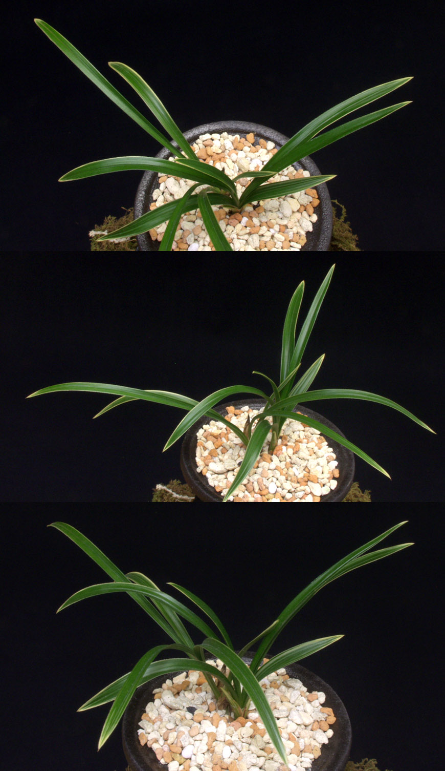 ������ ū������ �� �� �ֽ��ϴ�.