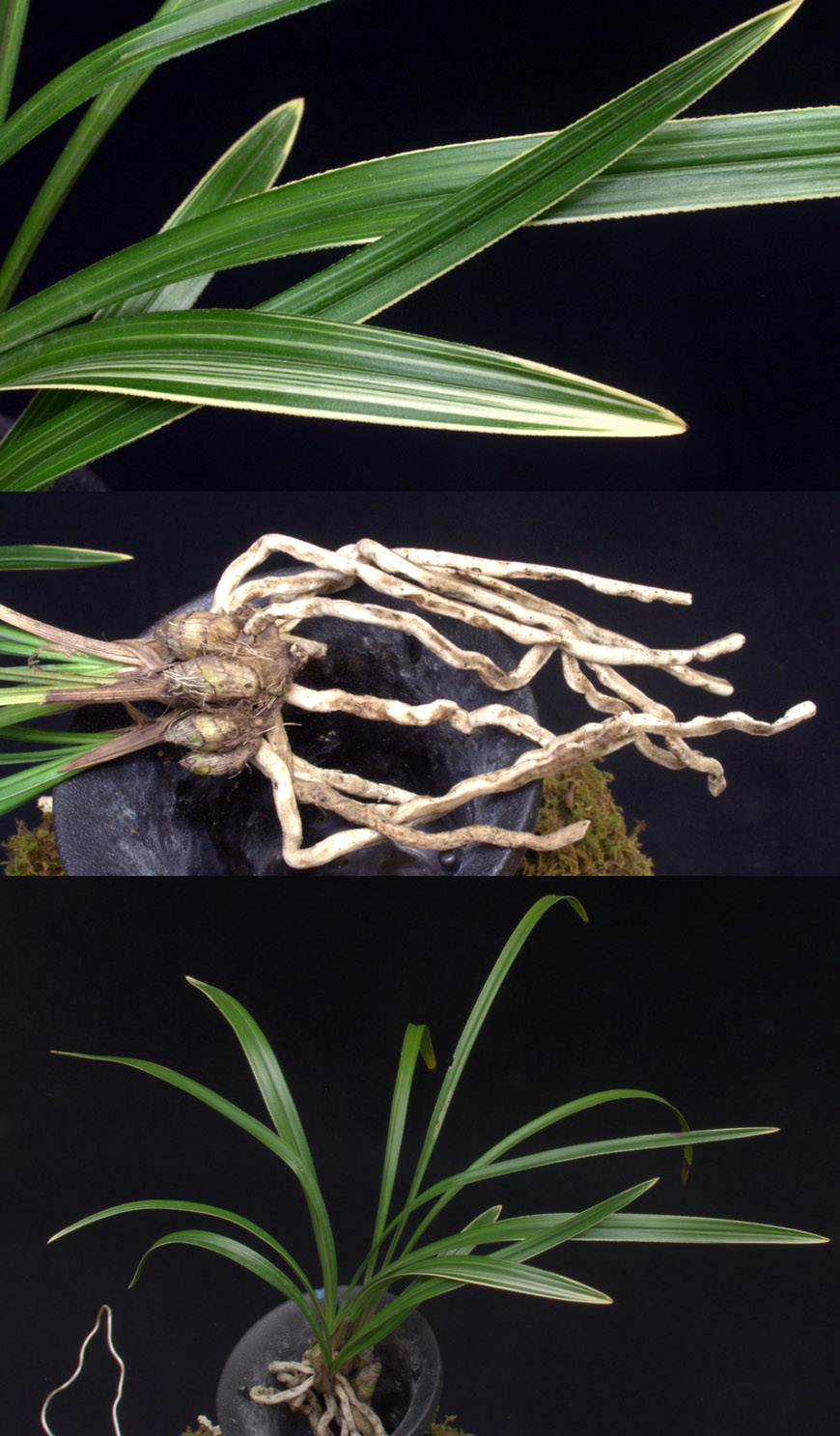 ������ ū������ �� �� �ֽ��ϴ�.