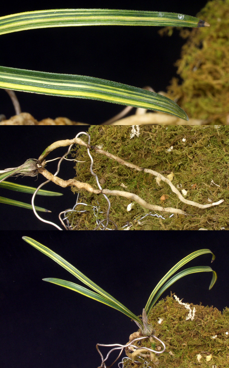 ������ ū������ �� �� �ֽ��ϴ�.