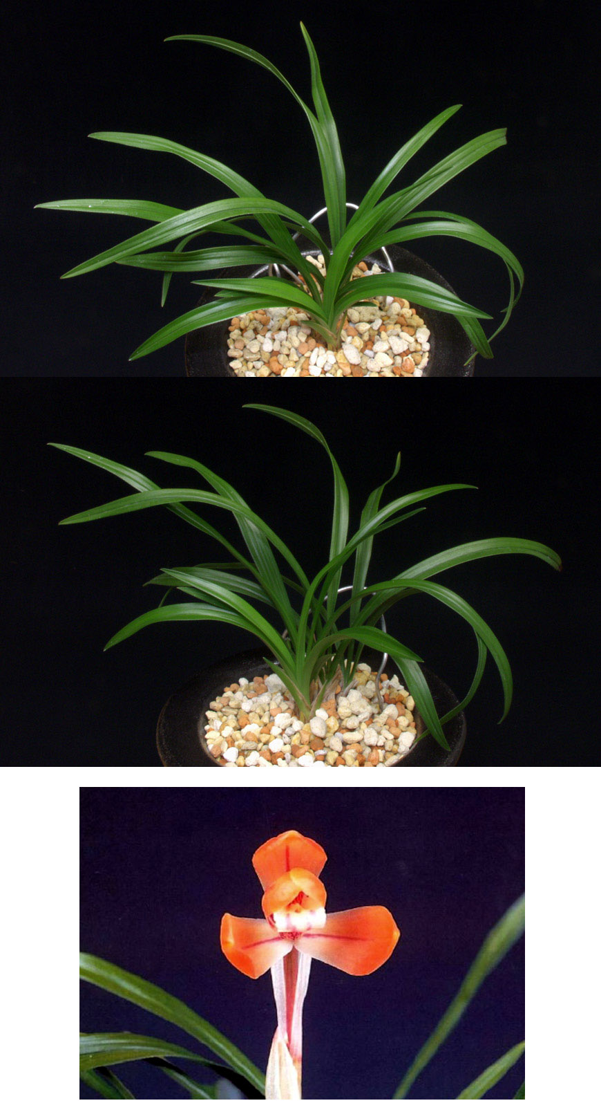 ������ ū������ �� �� �ֽ��ϴ�.