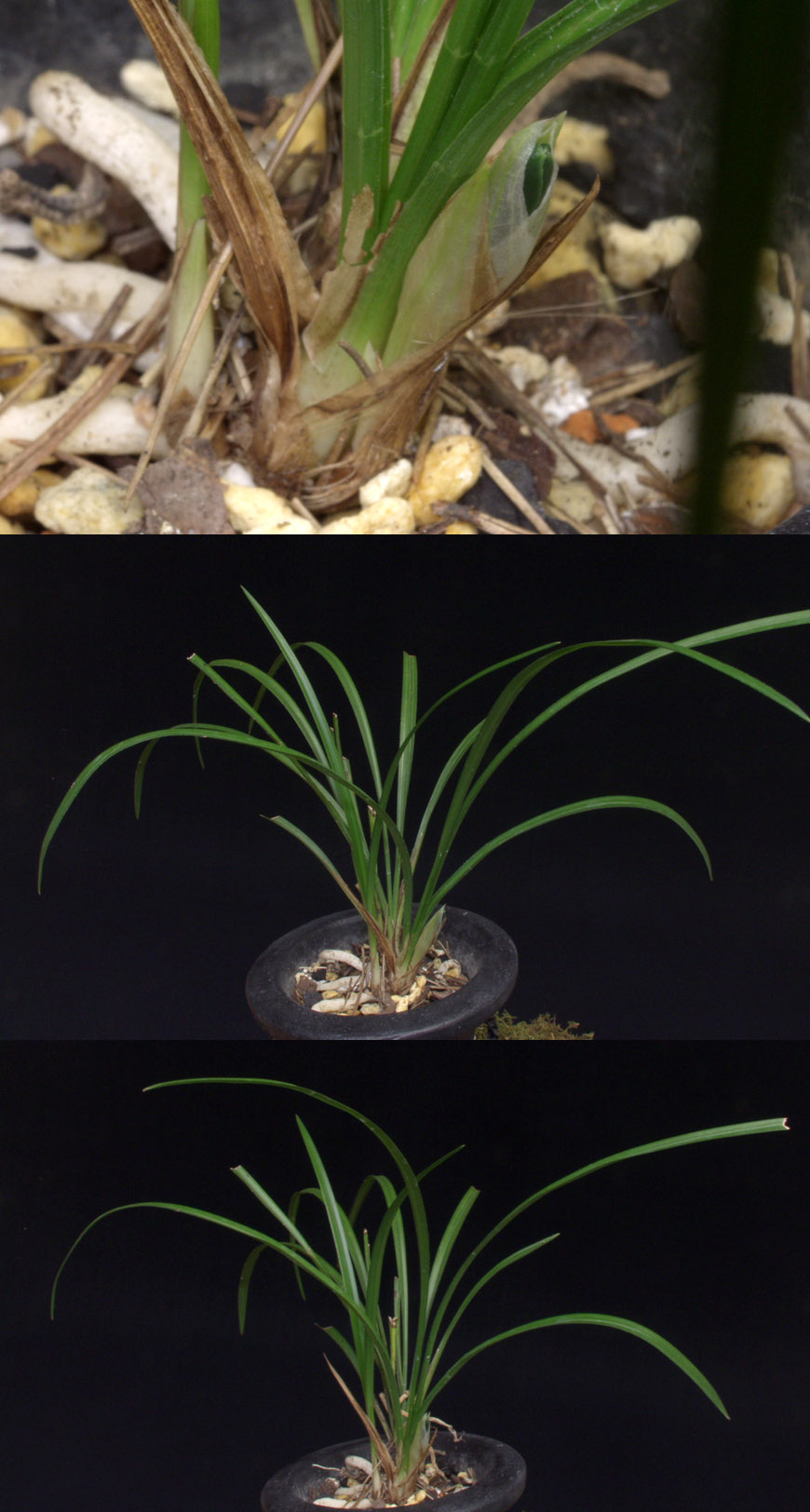 ������ ū������ �� �� �ֽ��ϴ�.