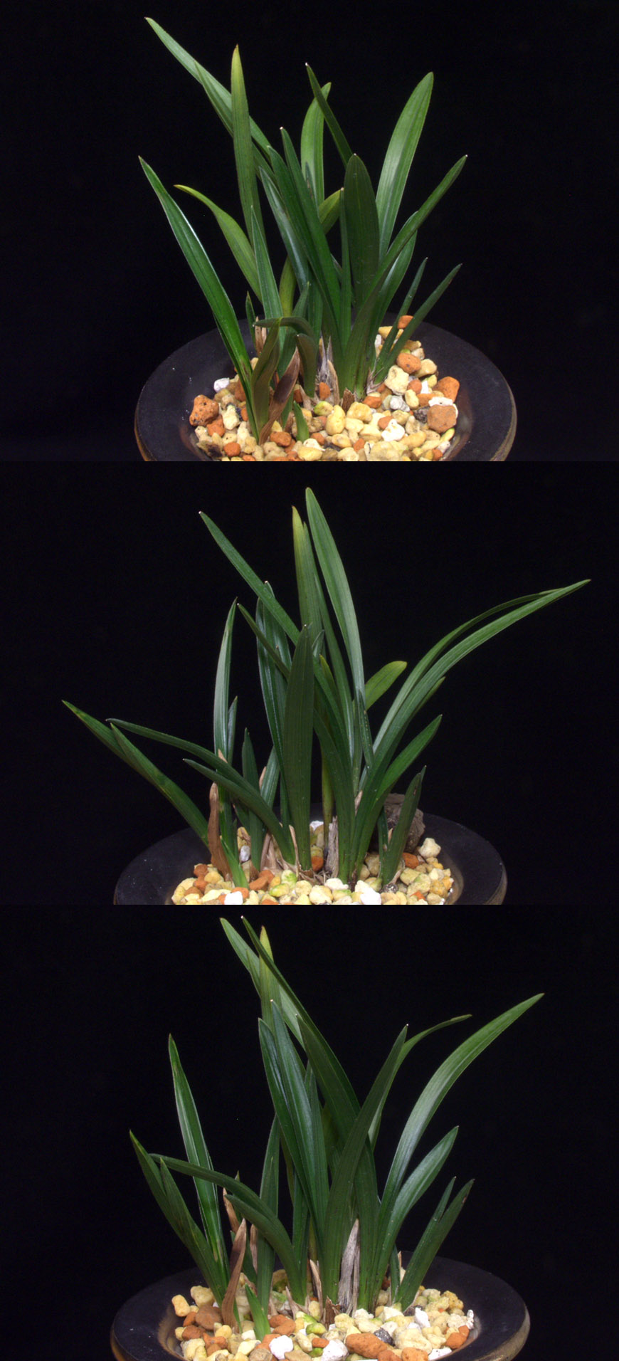 ������ ū������ �� �� �ֽ��ϴ�.