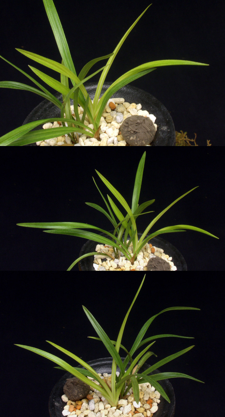 ������ ū������ �� �� �ֽ��ϴ�.