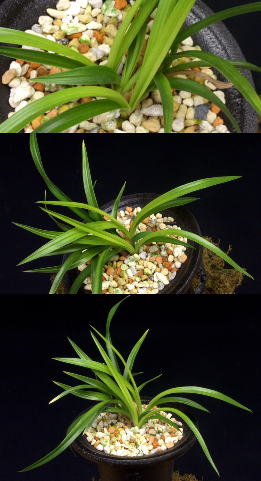 ������ ū������ �� �� �ֽ��ϴ�.