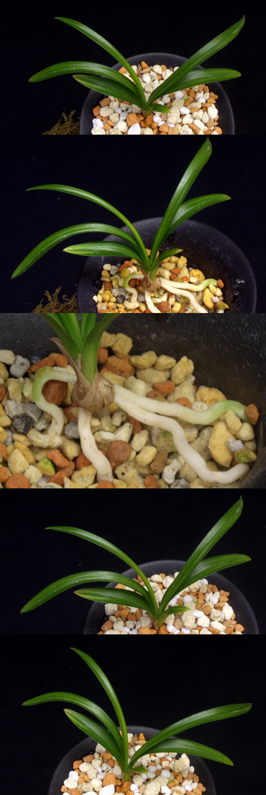 ������ ū������ �� �� �ֽ��ϴ�.