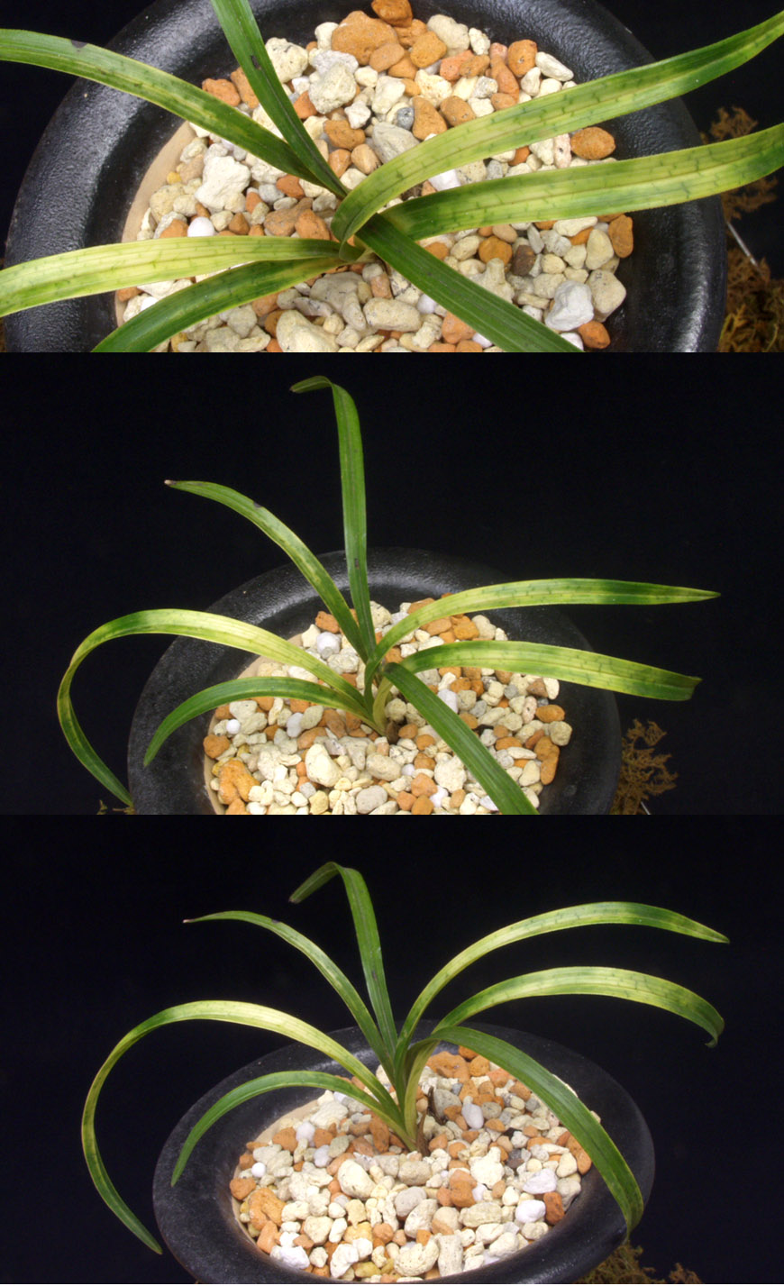 ������ ū������ �� �� �ֽ��ϴ�.