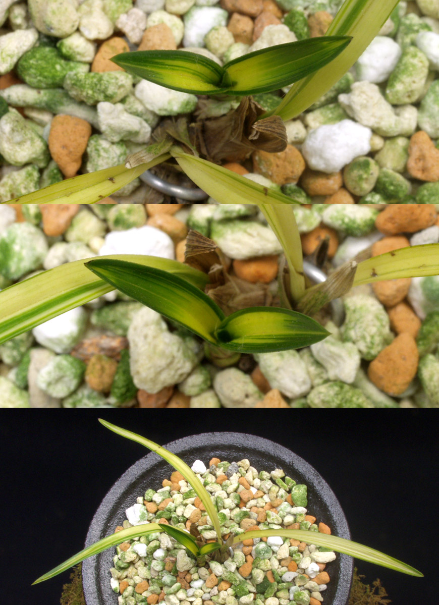 ������ ū������ �� �� �ֽ��ϴ�.