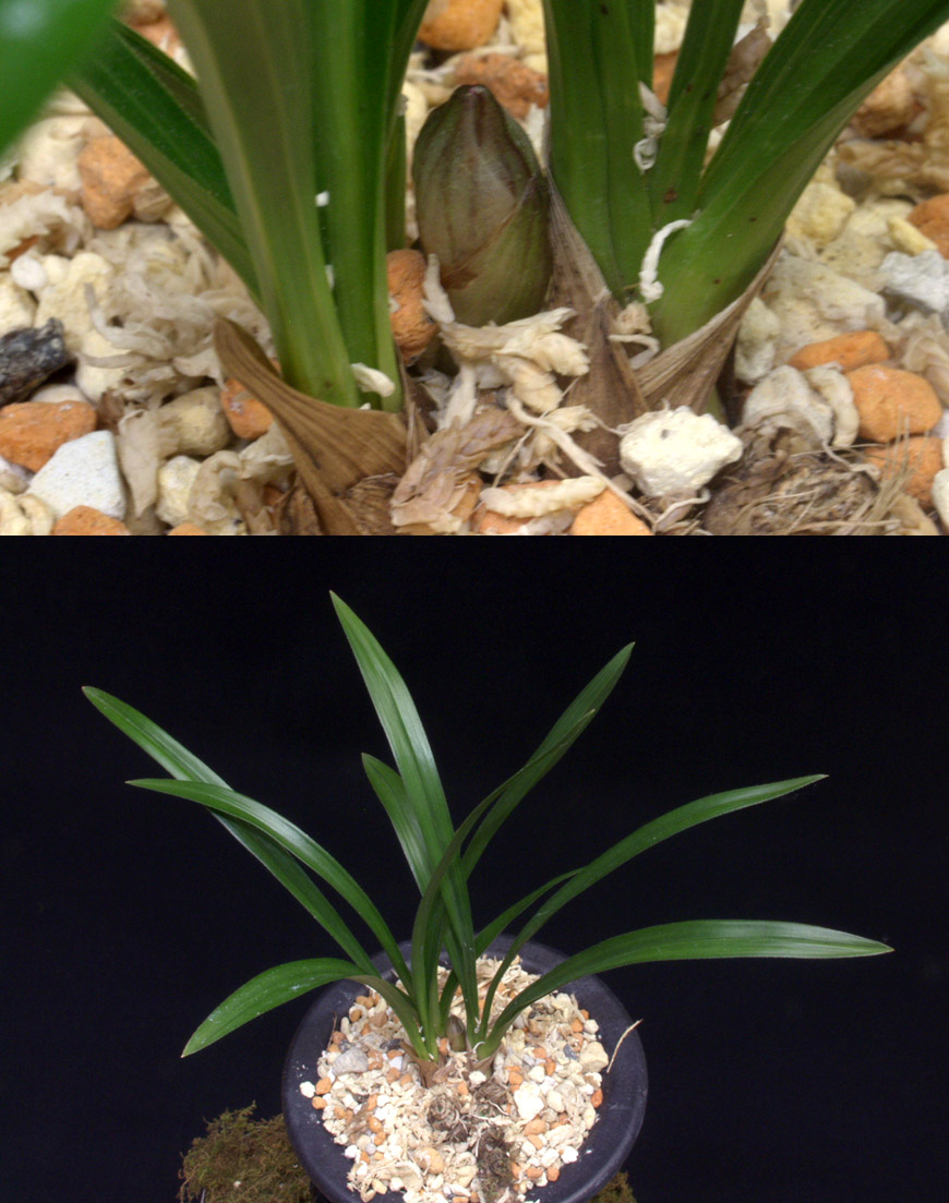 ������ ū������ �� �� �ֽ��ϴ�.