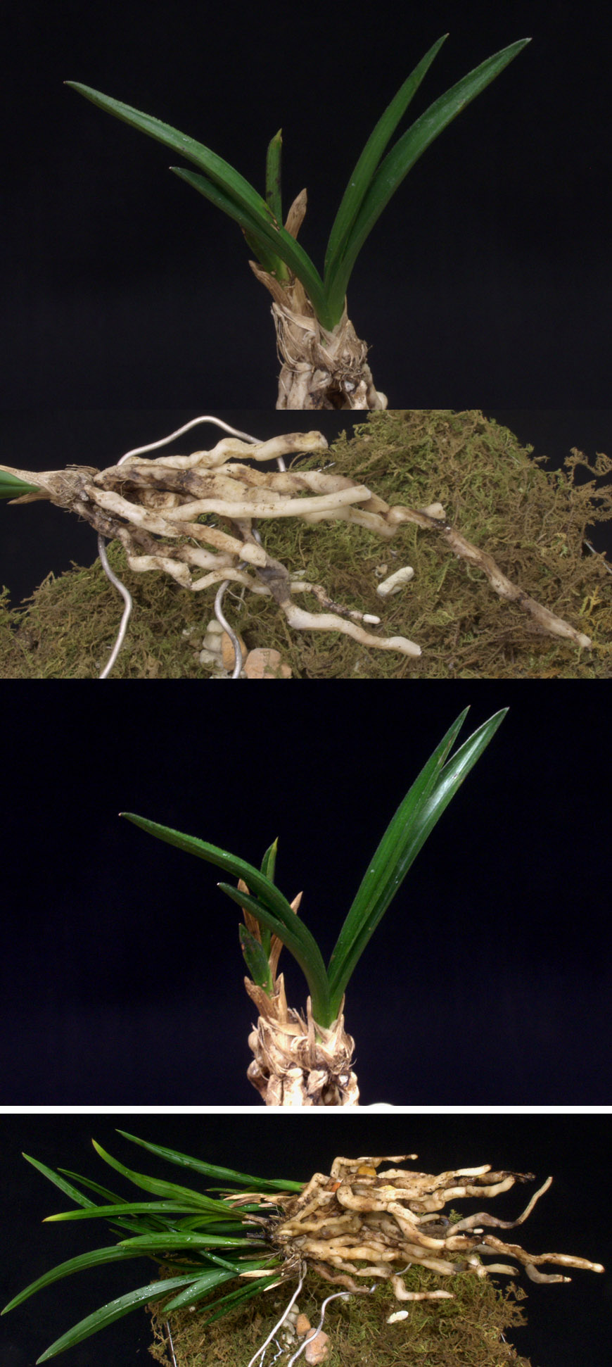 ������ ū������ �� �� �ֽ��ϴ�.