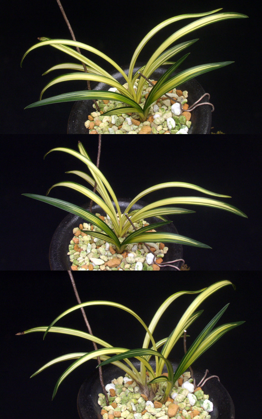 ������ ū������ �� �� �ֽ��ϴ�.