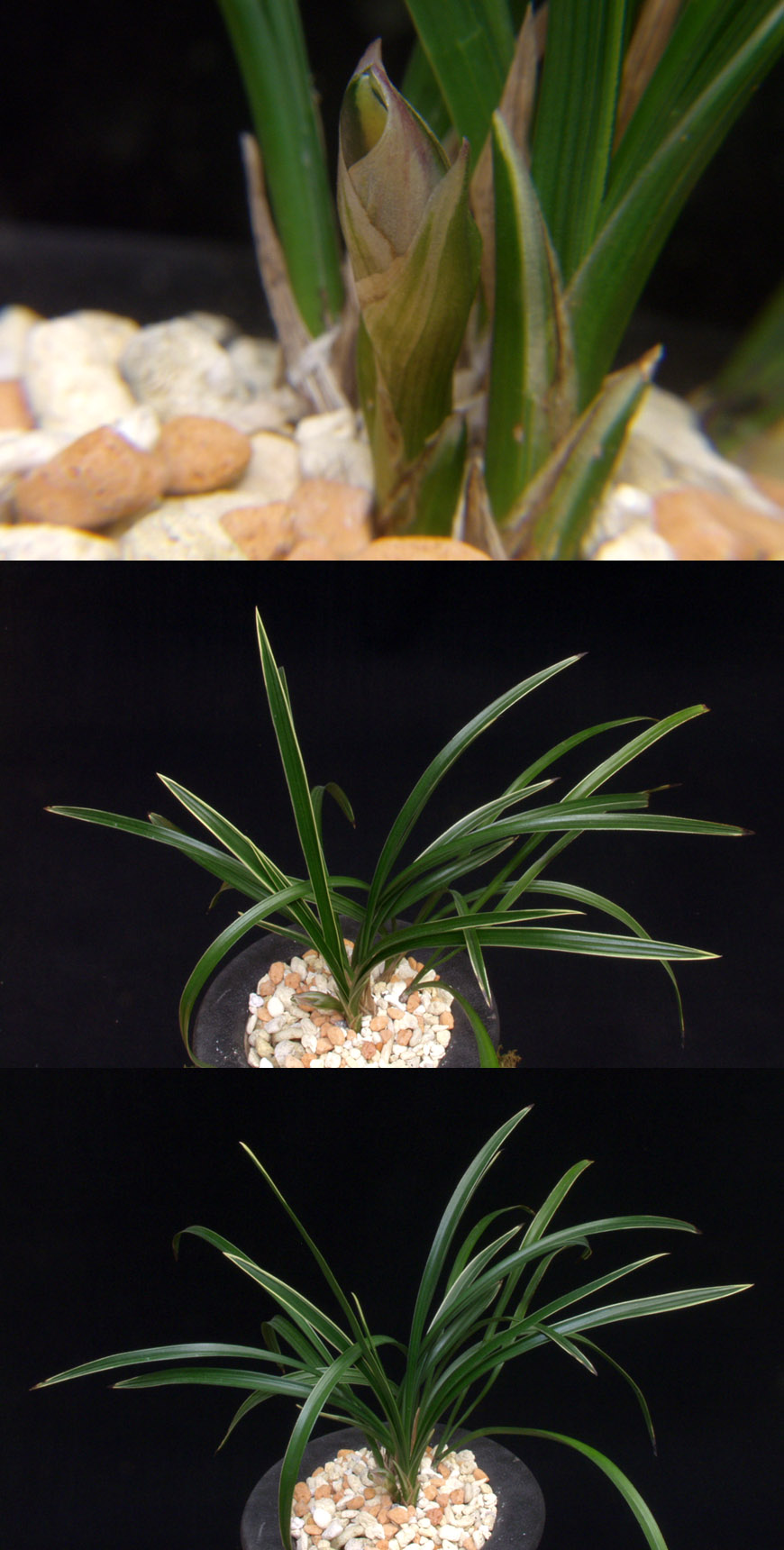 ������ ū������ �� �� �ֽ��ϴ�.