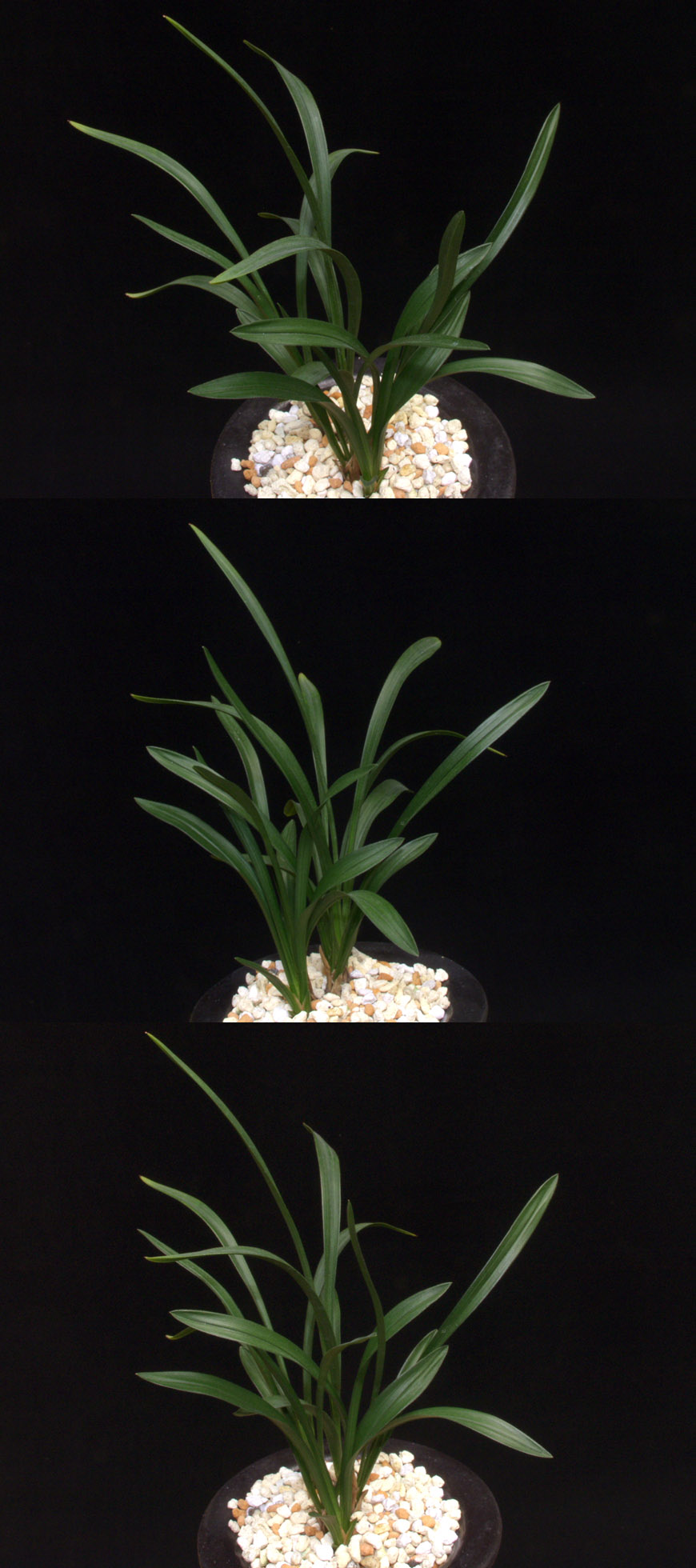 ������ ū������ �� �� �ֽ��ϴ�.