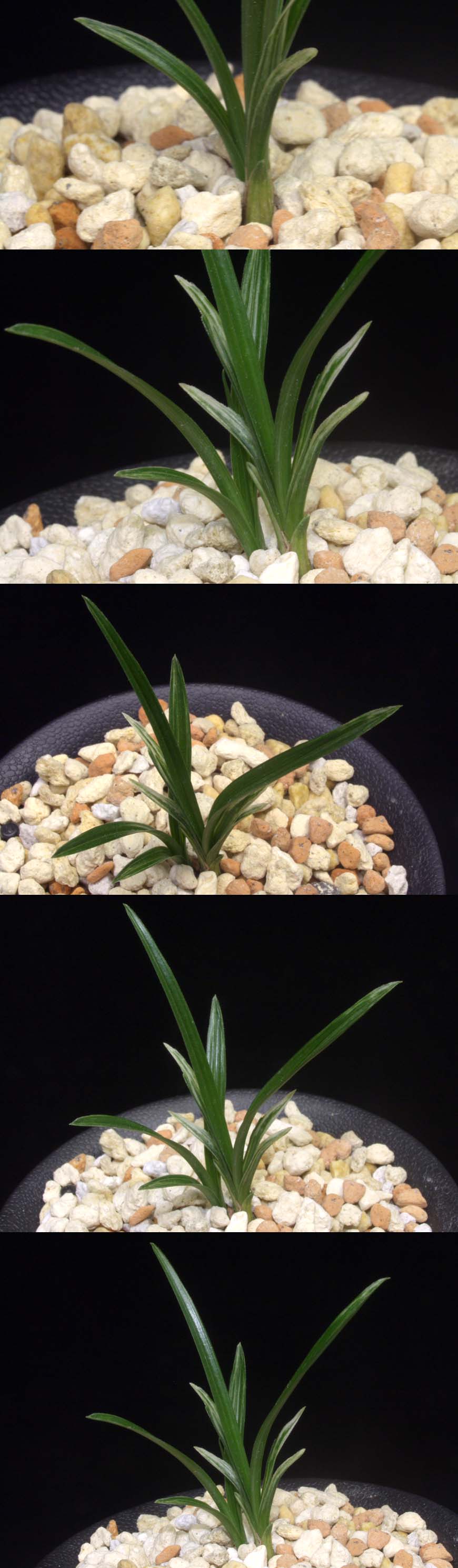 ������ ū������ �� �� �ֽ��ϴ�.