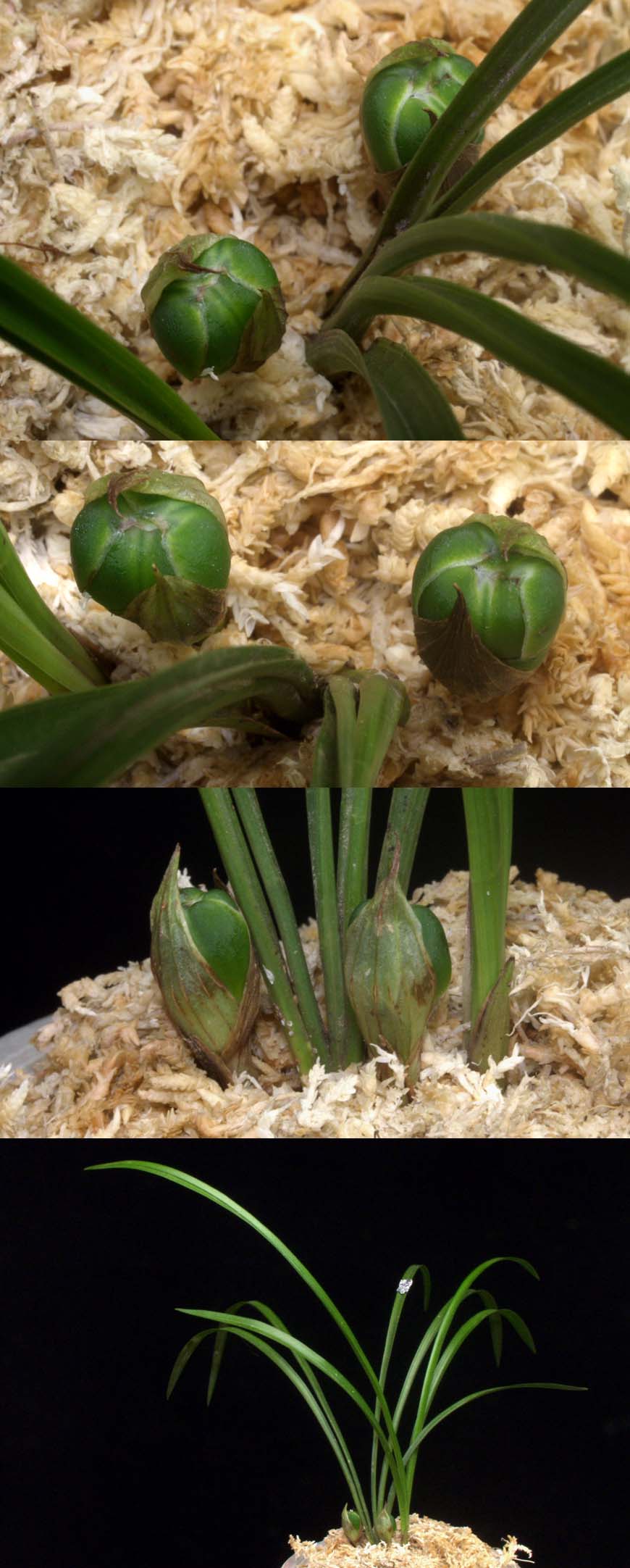 ������ ū������ �� �� �ֽ��ϴ�.