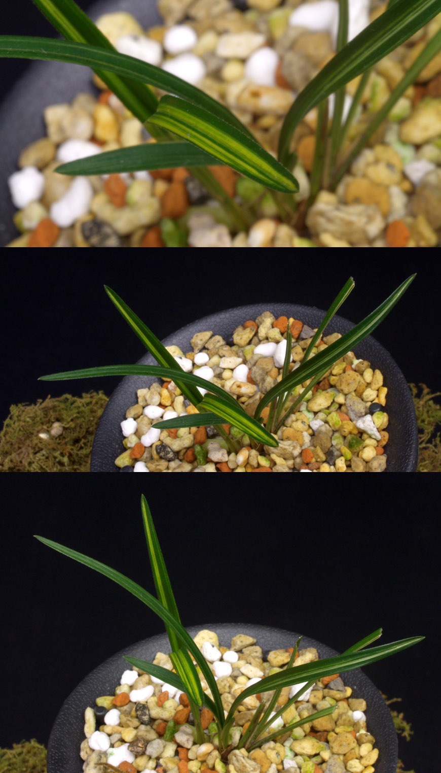 ������ ū������ �� �� �ֽ��ϴ�.