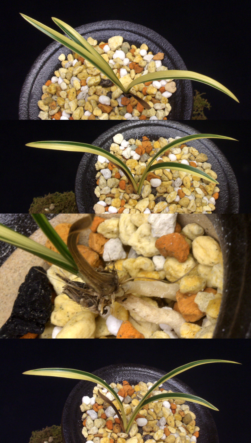 ������ ū������ �� �� �ֽ��ϴ�.