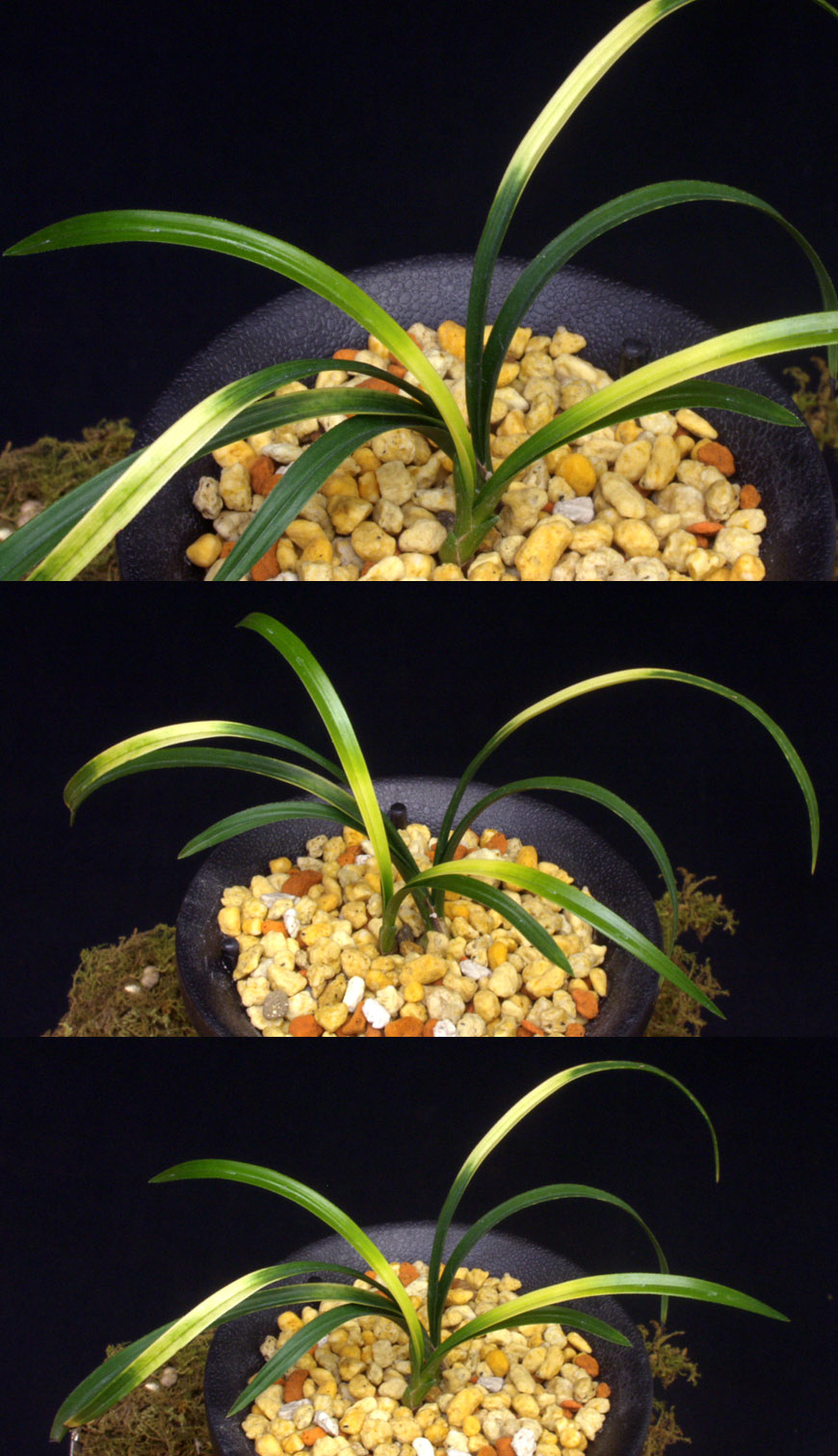 ������ ū������ �� �� �ֽ��ϴ�.