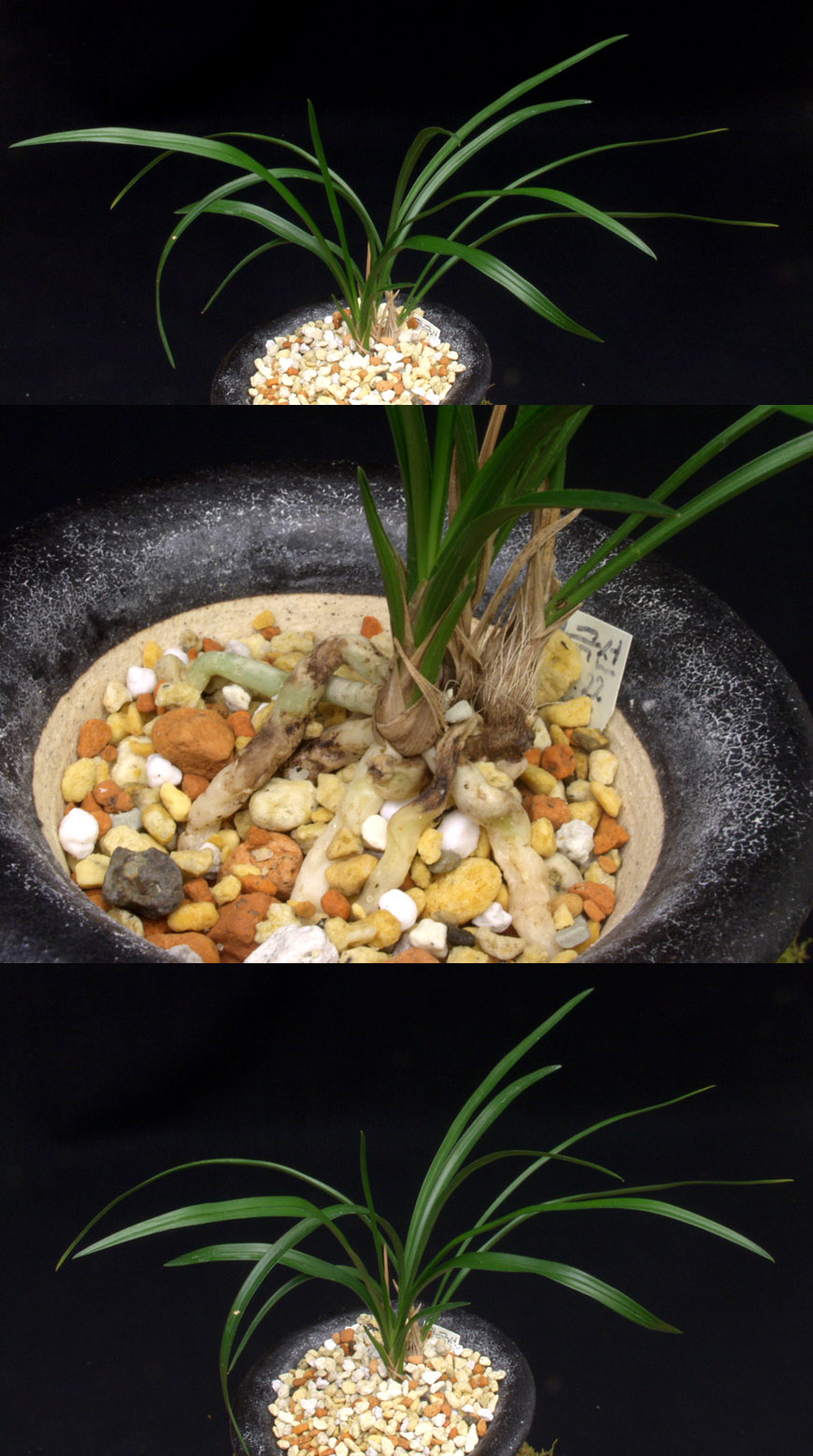 ������ ū������ �� �� �ֽ��ϴ�.