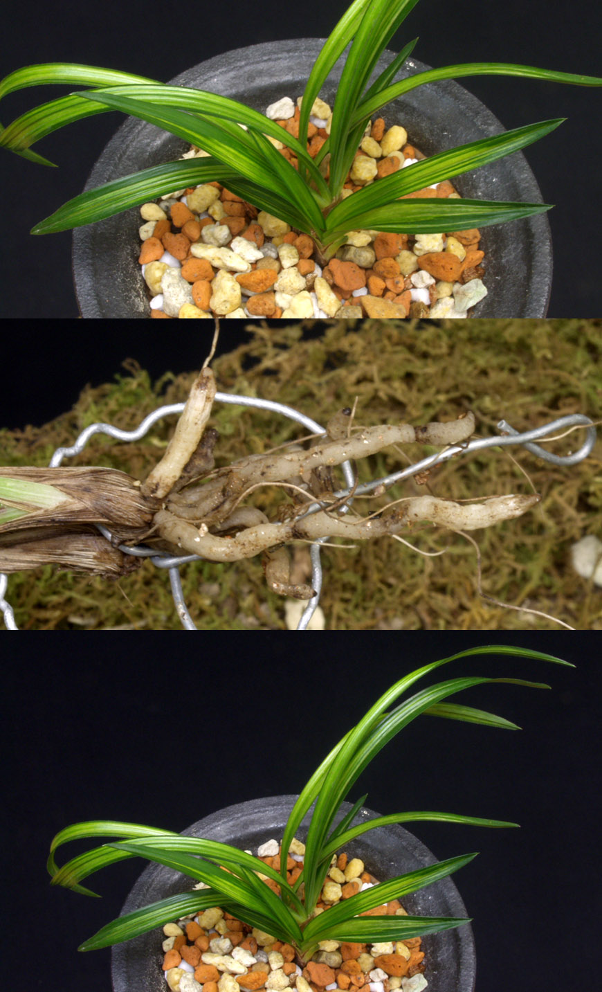 ������ ū������ �� �� �ֽ��ϴ�.