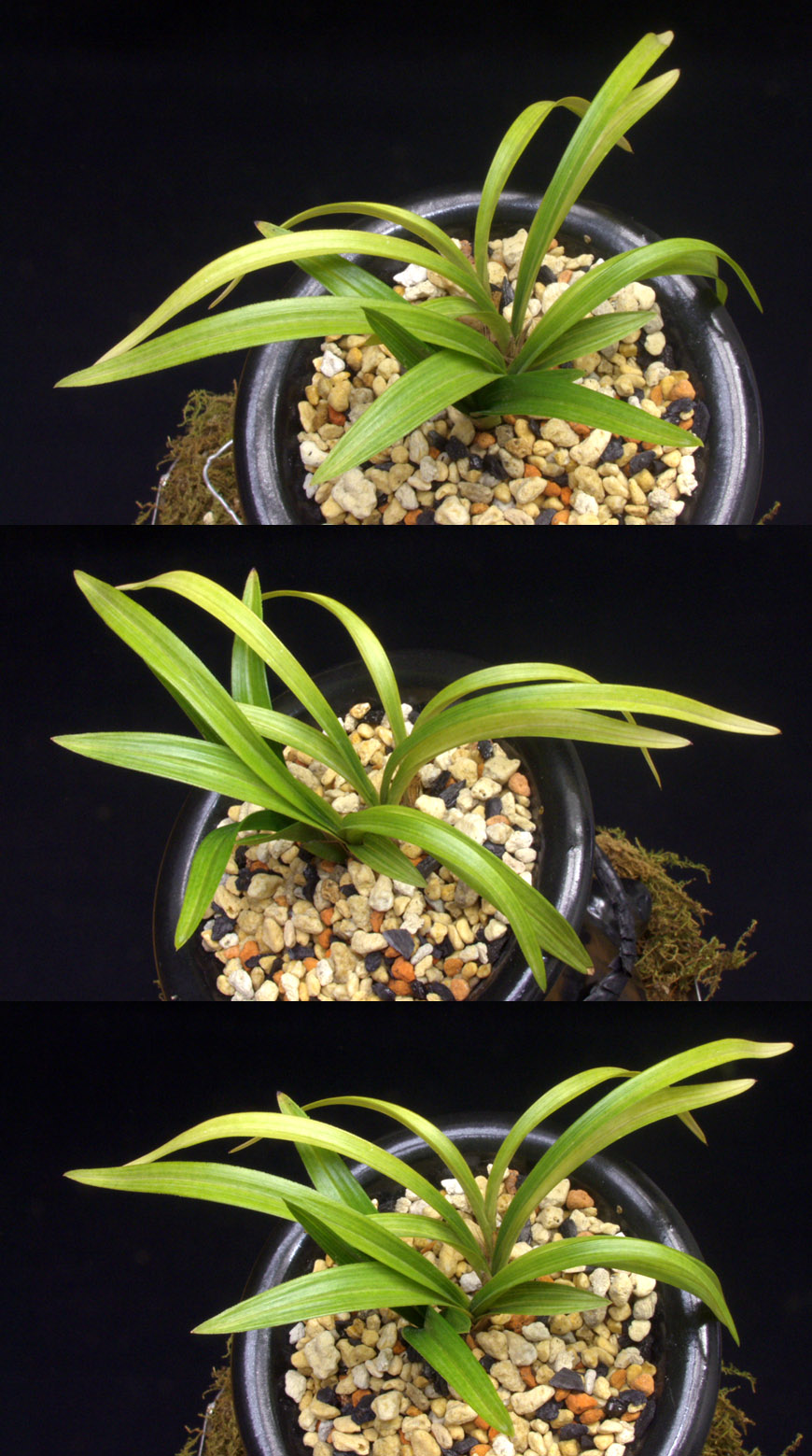 ������ ū������ �� �� �ֽ��ϴ�.