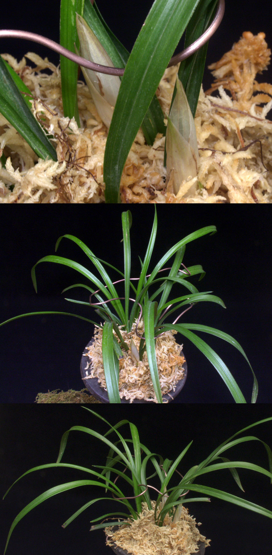 ������ ū������ �� �� �ֽ��ϴ�.