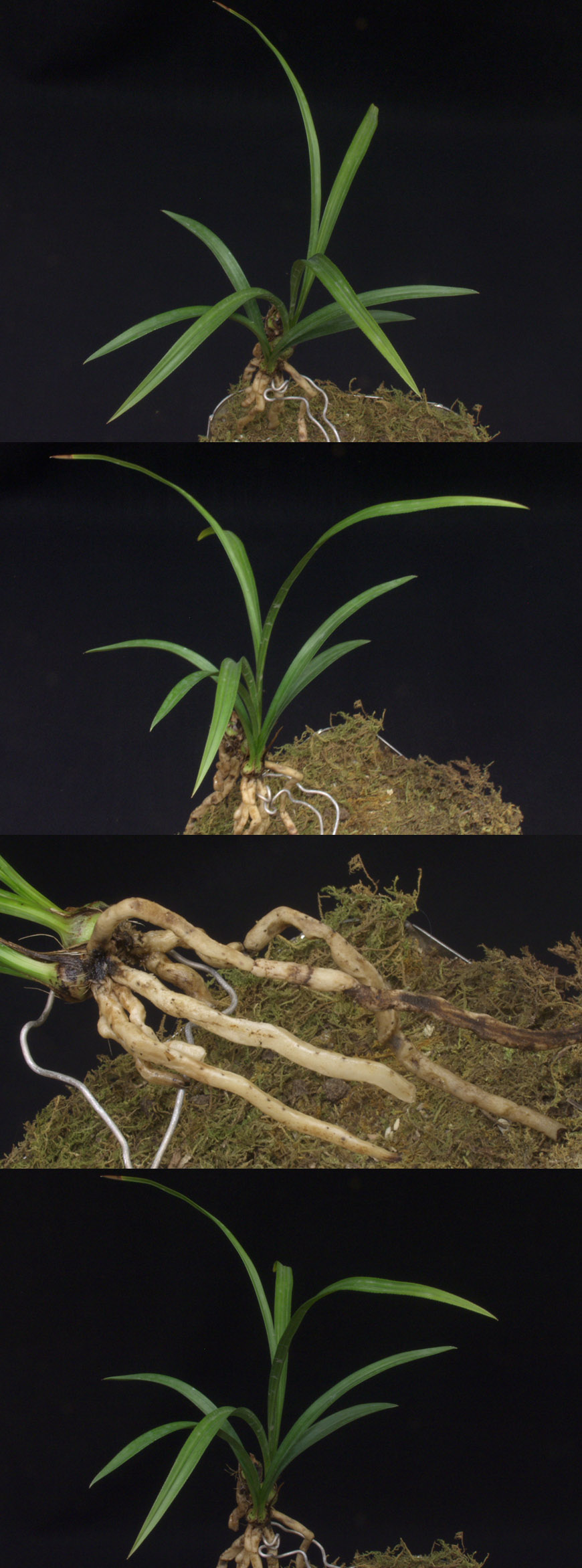 ������ ū������ �� �� �ֽ��ϴ�.