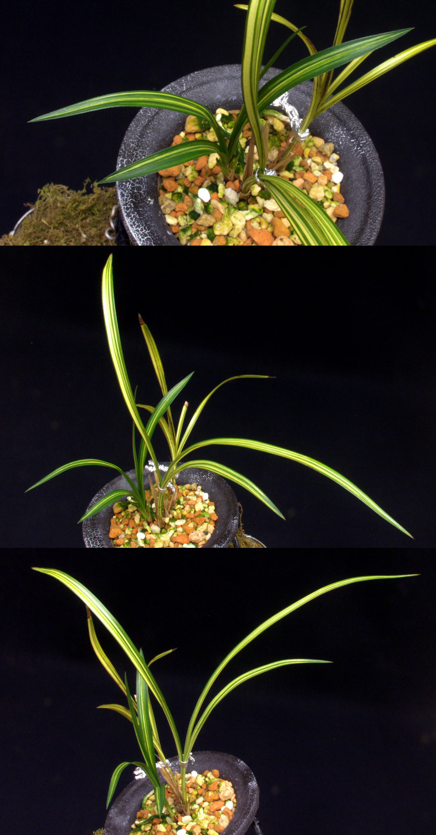 ������ ū������ �� �� �ֽ��ϴ�.