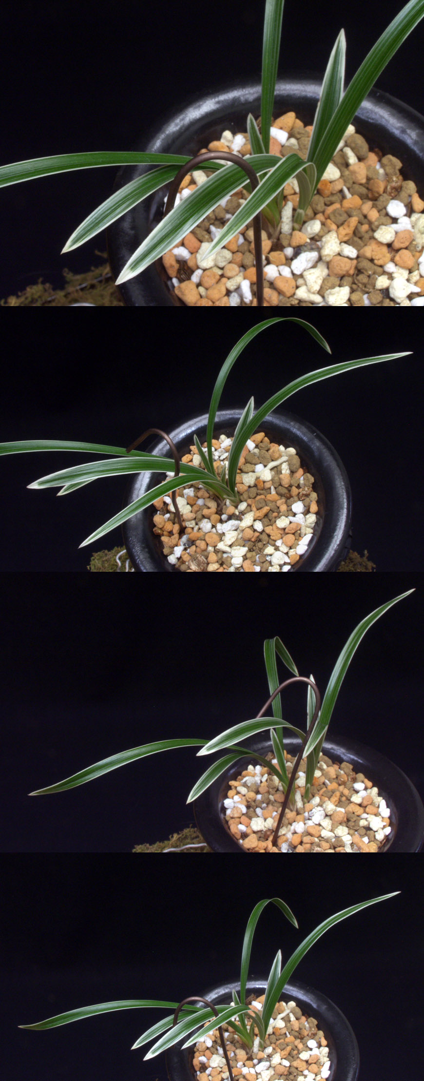 ������ ū������ �� �� �ֽ��ϴ�.