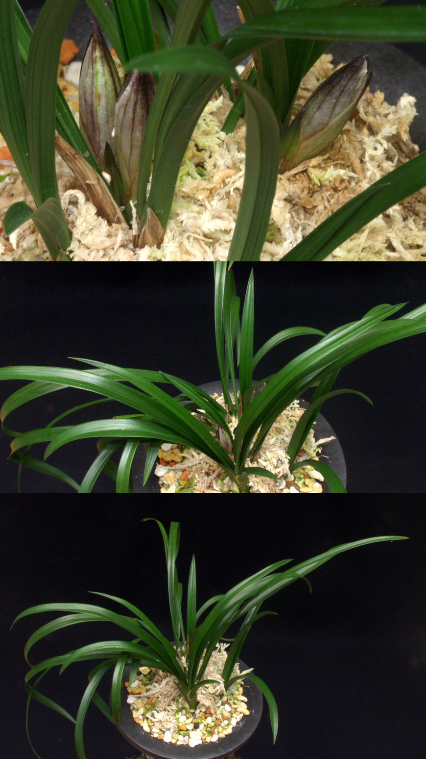 ������ ū������ �� �� �ֽ��ϴ�.