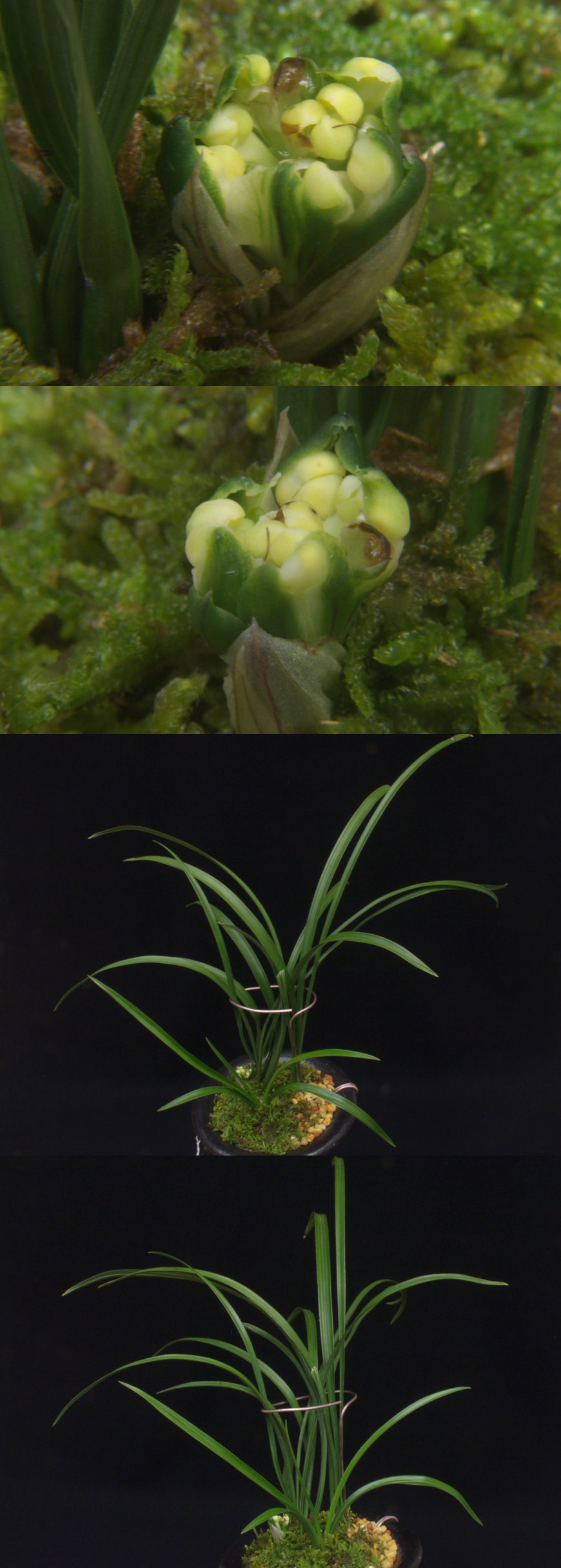 ������ ū������ �� �� �ֽ��ϴ�.