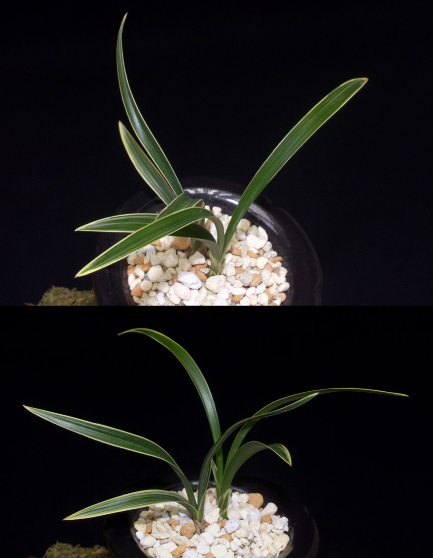 ������ ū������ �� �� �ֽ��ϴ�.