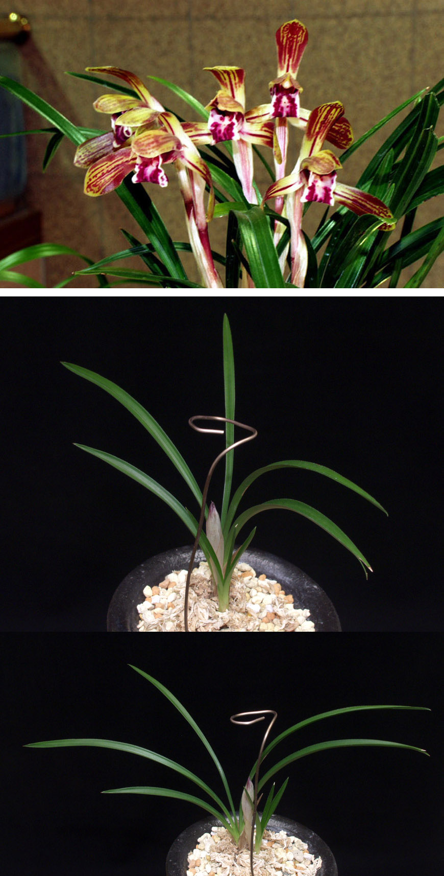 ������ ū������ �� �� �ֽ��ϴ�.