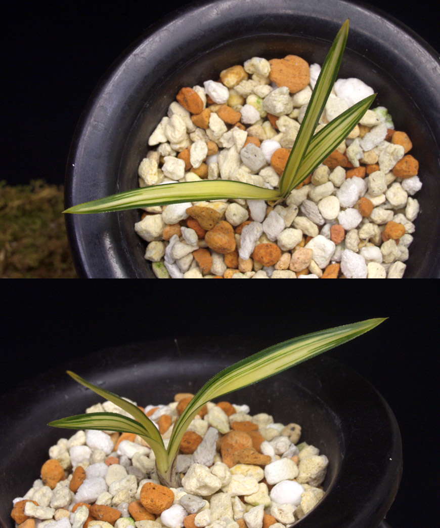 ������ ū������ �� �� �ֽ��ϴ�.