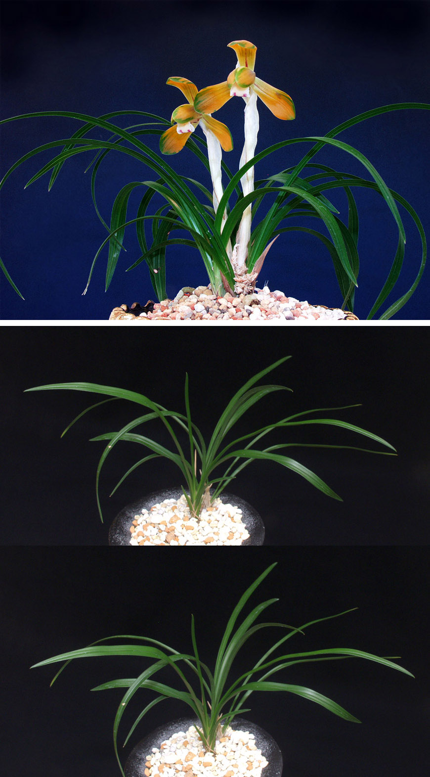 ������ ū������ �� �� �ֽ��ϴ�.