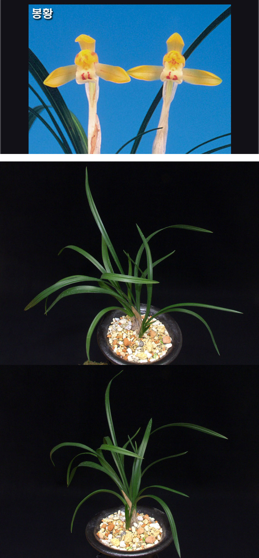 ������ ū������ �� �� �ֽ��ϴ�.