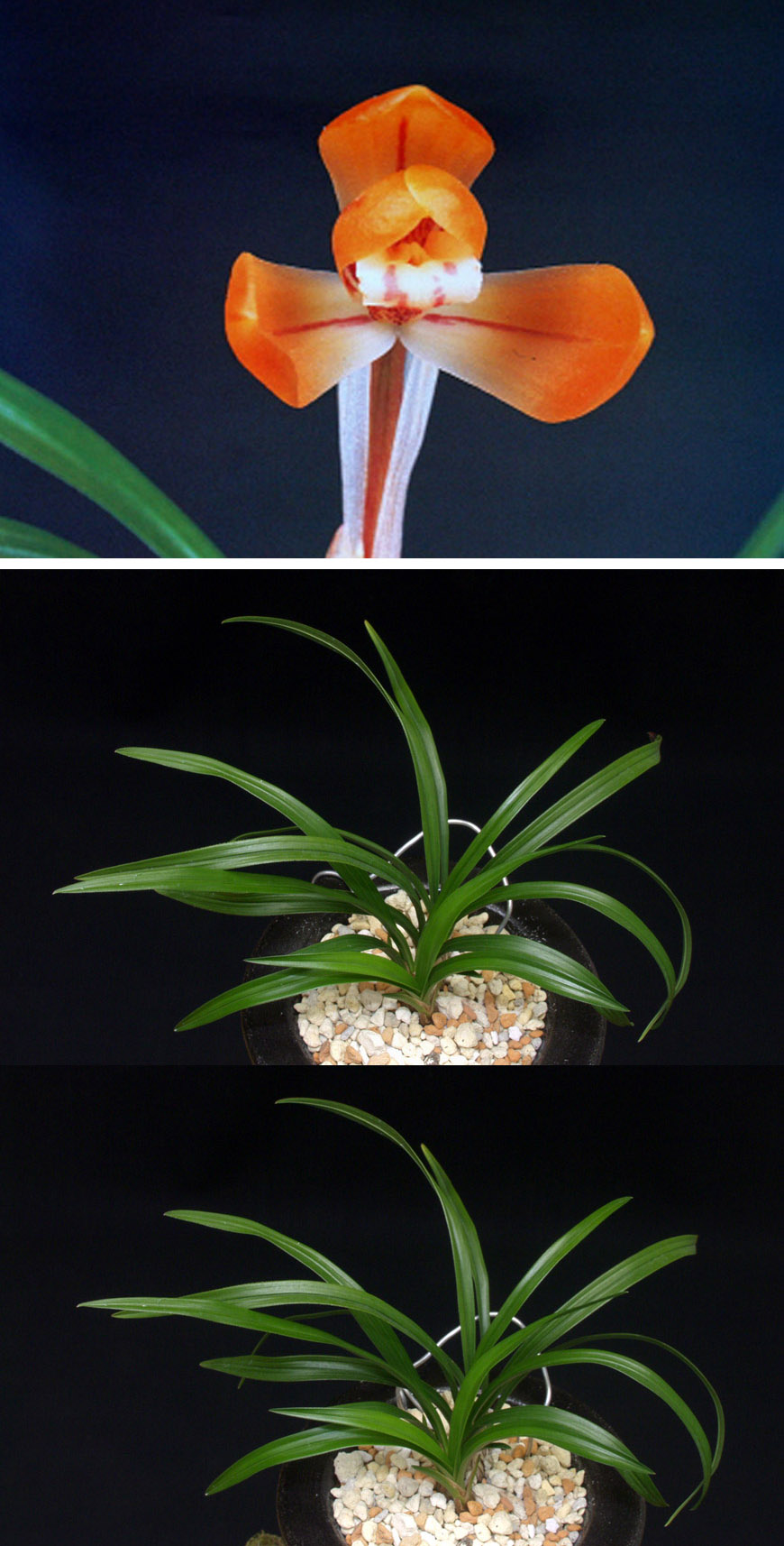 ������ ū������ �� �� �ֽ��ϴ�.