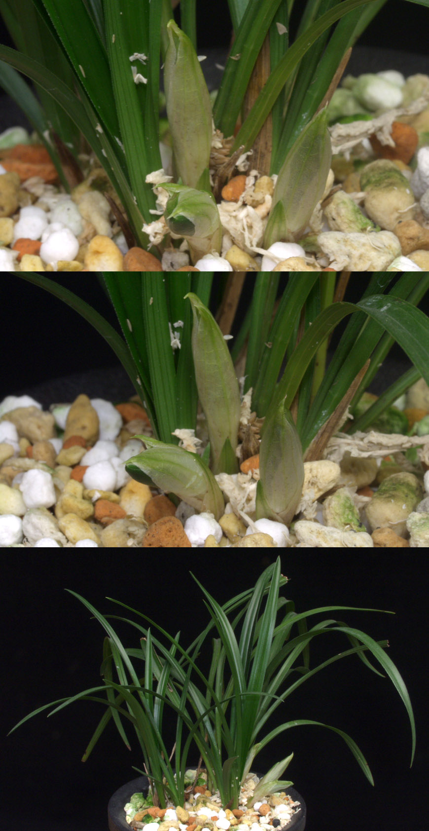 ������ ū������ �� �� �ֽ��ϴ�.