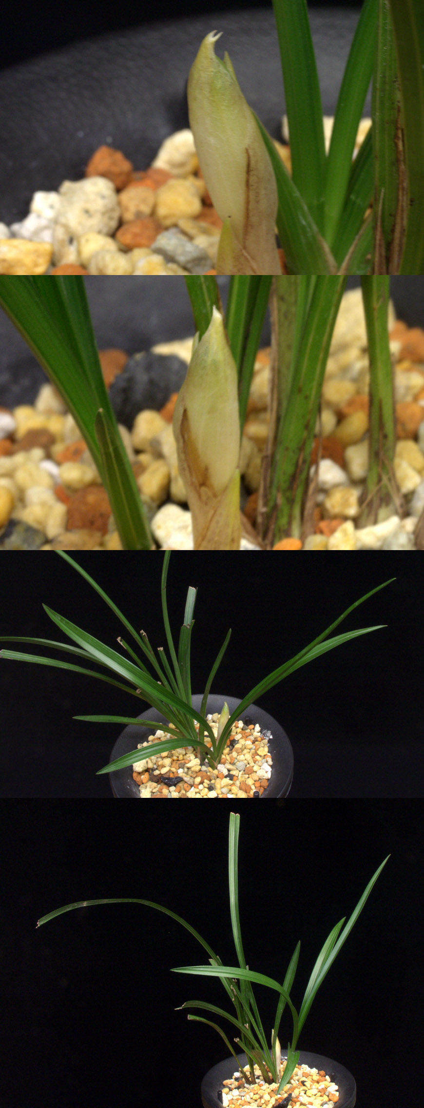 ������ ū������ �� �� �ֽ��ϴ�.