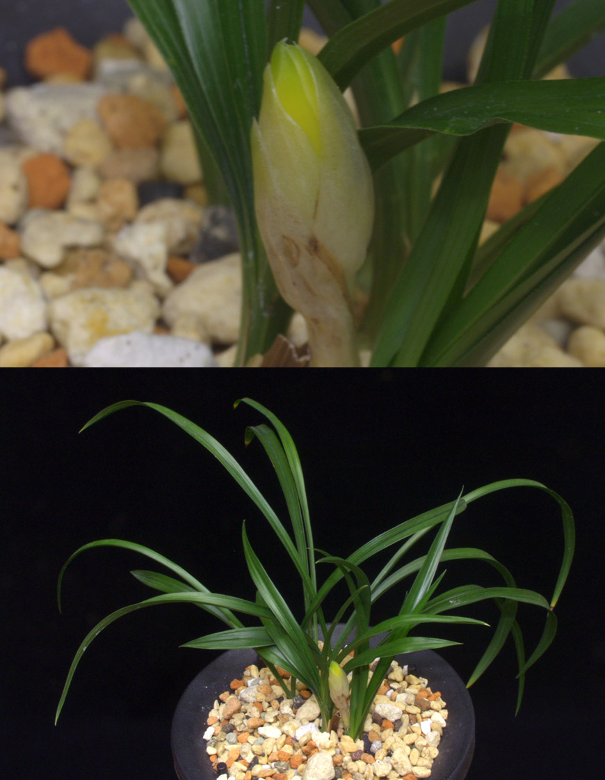 ������ ū������ �� �� �ֽ��ϴ�.